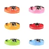 Spot Goods Nylon Pet Collar Läder LED Dog Collar Leashes Night Safety Light Blinkande Glöd i den mörka Små Cat Leash Puppy Designer