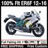 Kawasaki Ninja için OEM gövdesi 650R 650 R ER6 F ER 6F 2012-2016 GÜNEŞ 11DH.25 ER-6F ER6F 12 13 14 15 16 650-R 2012 2013 2015 2016 Enjeksiyon Kalıp Kaplama Kiti Parlatıcı Gümüş