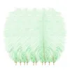 Party Decoration 10pcs/lot Natural Multicolor Ostrich Feathers Wedding Home Diy Floating Plumes Table Centerpiece Crafts 5WParty