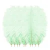 Décoration de fête 10pcs / lot plumes d'autruche multicolores naturelles mariage maison bricolage plumes flottantes table pièce maîtresse artisanat 5wpartie