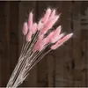 Dekorativa blommor kransar 50stems svansgräs vit rosa färg naturligt torkad bukett pampas julbröllop dekorekorativ dekoratived