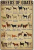 Goat Knowledge Metal Tin Sign Breeds of Goats Learning Poster Library School Education Living Room Kitchen Bathroom Home Art Wall 9458690