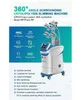 Potente multifunzione Cryo Slimming 360 crioterapia 4 maniglie che lavorano insieme Cryolipolysis + Cavitation + RF + lipolaser rimozione del doppio mento