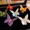 small butterfly hair clips