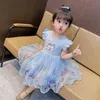 1 2 3 4 5 anni Neonate vestono estate Cute Cartoon Mesh Fashion Little Princess Dress Regalo di compleanno Abbigliamento per bambini G220506