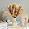 66pcs Dried Pampas Grass Decor Real Reed Grass Fluffy Dry Flowers Wedding DIY Bohemian Natural Bouquet For Home 220406