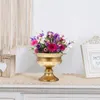 Ganchos trilhos 2pcs lindas decoração de desktop vaso de flor de ferro delicado para casos caseiros