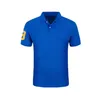 Hochqualität berühmte Marke Polo Shirt Männer Baumwolle männliche Stickerei Logo Herren Camisa Maskulina Pols Shirt1738
