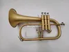 New Arrivalbb Flugelhorn Brass Plated Instrument Professional com acessórios de caixa