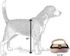 Design Dog Toys Fashion Hound Collection Unique Scheky Parody Plance Dogs Toybag Cup Perfume Perfume Bott