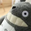 3070cm Cute Anime Girl Kids Large Size Soft Pillow Totoro Plush Toy Doll Children Birthday Gift Cartoon Home9648771