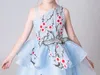 Robes de fille de luxe broderie fleur fille robe pour mariage salut-bas longue queue bleu junior filles formelle princesse pageant robesgirl's