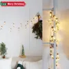 Strings Wishing Bottle LED Lights String Tiny Christmas Tree Fairy Wire Lamp Decorative NightlightLED StringsLED