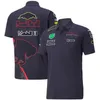 F1 Formel 1 Team Jersey New Short Sleeve Fan Polo Shirt Men's Custom Racing Suit