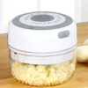 100ML Mini Garlic Grinder Electric Garlic Chopper Cordless Food Fruit Vegetable Blender Kitchen Gadgets USB Rechargeable 210319