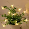 Strings LED -batterijbox Easter Decoratie Licht String Waterdichte schattige 2m Pinwireled stringsled