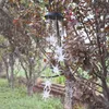 현악기 Led Solar Power Wind Chime 화려한 바다 성게 돌연변 콜러 교환 방수 야외 윈드 chime 조명 안뜰 Gourtyard Dec