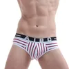 Underpants Stripes Cotton Briefs Men Sexy Underwear Bulge Gay Male Mens Underware Low Waist Man Cuecas Panties DesignUnderpants