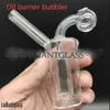 mini heady dab rigs Cachimbos de água Bongs grossos Unhas transparentes Bong Glass Oil Burner Pipes pequenos queimadores