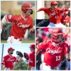 2022 NCAA Custom UH Houston Cougars zszyte koszulka baseballowa college'u Matt Beech Jason McDonald Chris Tremie Vaughn Eshelman Scott Sheldon Ben Weber Woody Williams