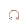 Kegel Spike Horseshoe Circulaire Septum Neusring Chirurgisch stalen tepel Hoops Wenkbrauwoor Piercing Body sieraden