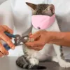 Breathable Nylon Cat Muzzles Kitten Face Masks Groomer Helpers Bath Anti-Biting Anti-scratch for Cat Grooming Tools Pet Supplies