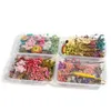 Decorative Flowers & Wreaths 1 Box Dried Flower Dry Plants For Candle Pendant Necklace Jewelry Making Craft Wedding DIY Accesso