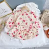 Flickor Casual Kläder Sätter Höst Vår Barn Tecknad Strawberry Sweater Kjol 2 Stycke 3-7 år Barn Söt kostymer 220425