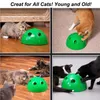 Brinquedos de gato arranhando dispositivo de mouse brinquedo criativo de animais de estimação de pet de pet de pet de pet de pet -terel