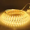 220V LED Strip 120LEDs 8W/m with EU Plug and Switch Not Dazzling Flexible Light Waterproof Outdoor Use LED Tape