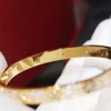 Full CZ diamanter Love Armband Armband Silver Guld skruvmejsel armband för kvinnor och män par smycken