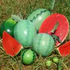 Feestdecoratie simulatie watermeloen model nep plakjes fruit en groente pography home props speelgoed plastic studioparty