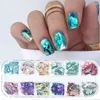 Nail Glitter Irregular Abalone Shell Art Natural Sea Slices Charms Flake Powders Shiny Sequins Manicure Design FBBY Prud22