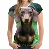 القمصان للرجال الصيف أزياء لطيف حيوان كلب الطباعة 3D فتاة/نساء للقميص يا رقبة قصيرة الأكمام شيرت كبيرة الحجم