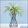 Nordic Style Air Plant Houder Metalen Bloem Potten Stand Geometrische Ijzer Tiltandsië Tafel Thuis Tuin Ornamenten C0125 Drop Levering 2021 Pot RAC