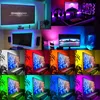 Streifen LED-Streifenlichter RGB-Licht Neon Tira Alexa Wifi Flexibles Band LEDs Diodenband für Dekoration Schlafzimmer Hintergrundbeleuchtung TVLED-StreifenLED