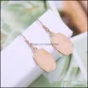 Charm Resin Pink Green Blue Druzy Drusy Designer Earrings Hexagon Oval Charms Fashion Dangle Earring For Women Drop Deliv Dhseller2010 Dhug8