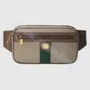 Classic Luxurys Designers Bum Sac de ceinture de poitrine Nylon Fanny Pack Ophidia Sacs de taille fourre-tout Marmont Sac à bandoulière Taillepacks Hangbag WOM263E
