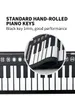 49 Key Portal Childer Roll Hand Roll Piano Electronic Teclado USB Midi Piano