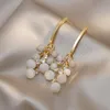 Lustre de lustre Korea Design jóias de moda de moda requintada zircão opala brincos de cordas elegantes acessórios para festas de casamento pingente presente