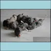 ألعاب Cat Supplies Pet Home Garden Fur Rabbit Fur for Mouse مع صوت عالي الجودة 1pc مزيج اللون تسليم 2021 Hu01d J94o1