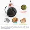 Tumbler Swing Toys For Cats Kitten Interactieve Balance Auto Cat Chasing Toy met Catnip Funny PET-producten voor Drop 220423