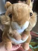 Big Tail Squirrel Simulation Toy Toy Small Cute Animal Doll for Girls Christmas Children Day Homes 20cm