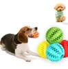 Mode Pet Toy Puzzle Watermelon Ball ST135