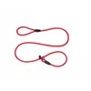 Nylonträning hund Leashes Webbing Recall Long Lead Pet Traction Rope bra för undervisning camping DHL min