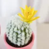 Fiori decorativi Ghirlande Simulazione Piante in vaso Cactus finto Deserto tropicale Palla di spine per la decorazione domestica Pianta grassa per interni