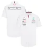 F1 -skjortor 2023 Formel 1 Team Driver Polo Shirt Summer Men's Racing Fans Casual Buttoned Shirt Motocross Jersey Car Logo Tops