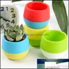 Autre organisation de stockage ￠ domicile Housekee Garden 2pc Mini rond Plastic Flowerpot Plantant des plantes sucgentes Cactus Nursery pour bureau de bureau