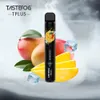 TasteFog 800 Puffs Bars Disposable Vape E Cigarette avec emballage espagnol / anglais chaud sur le marché européen