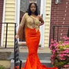 Nuovi abiti da ballo a sirena arancione Una spalla africana Vedere attraverso il vestito formale in pizzo Abito da sera per la festa di laurea delle ragazze nere